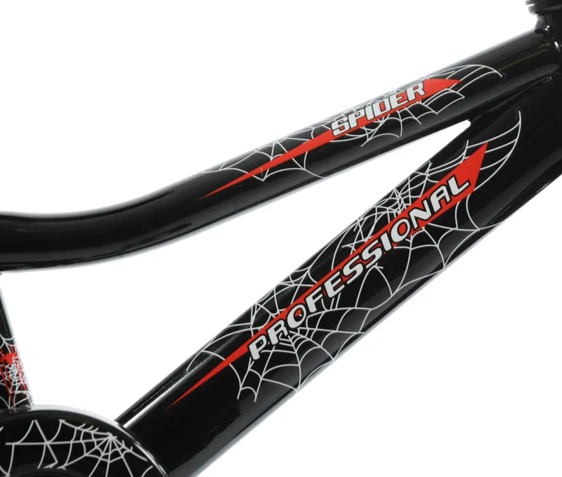 Professional Spider 20 Inch Wheel Kids Bike Black-3